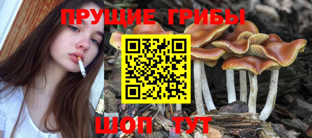 Псилоцибиновые грибы ЛСД  Вход с VPN  Кострома  Псилоцибиновые грибы мухоморы 