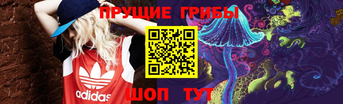Галлюциногенные грибы прущие грибы Кострома