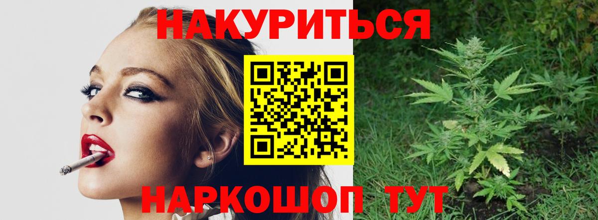 Каннабис гибрид Кострома